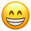 Standard plan emoji